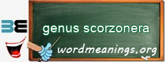 WordMeaning blackboard for genus scorzonera